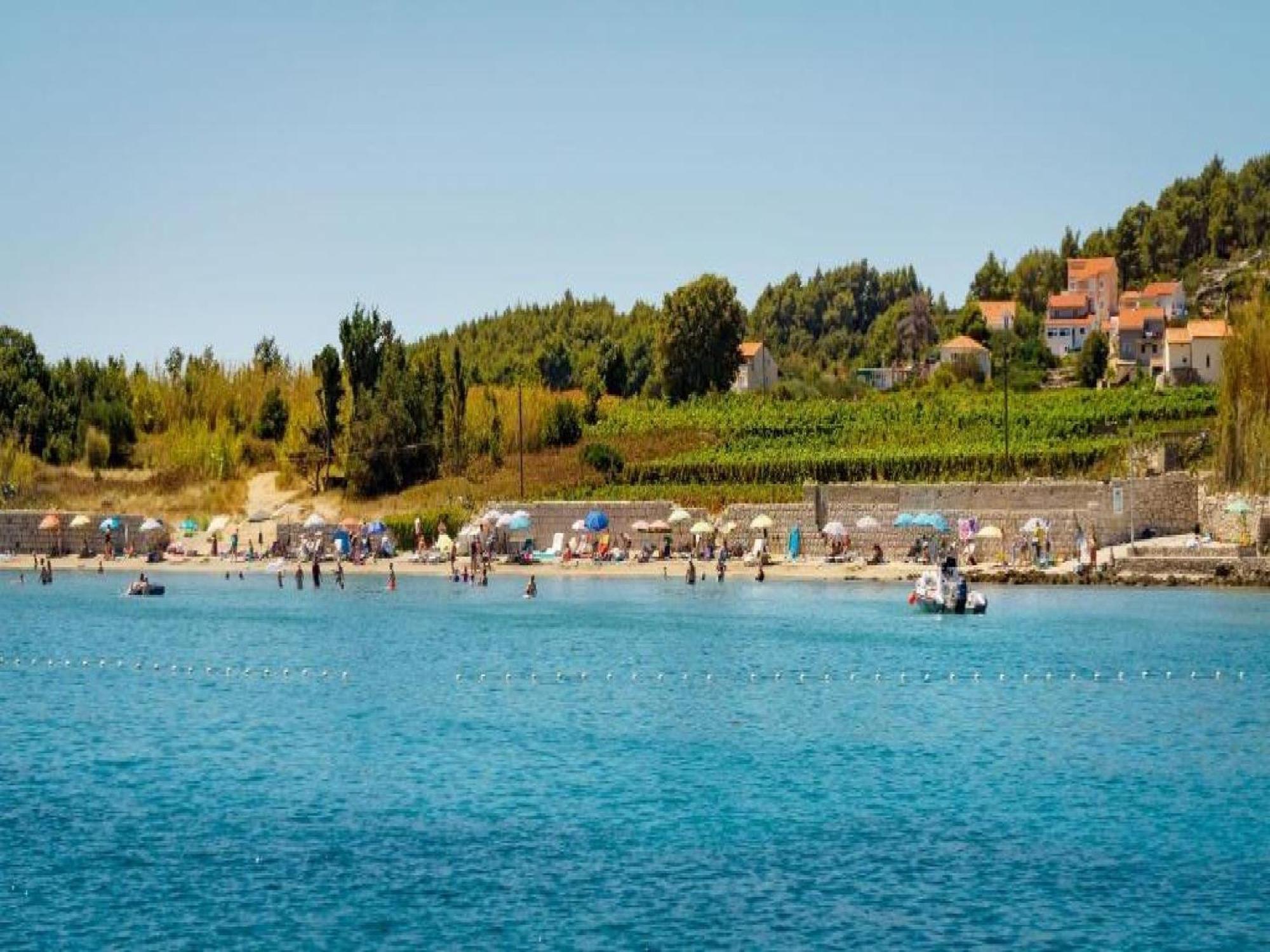 Lumbarda Resort Apartments Cameră foto